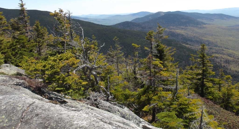 The mountainous landscape of the Appalachian mountains show evergreen trees and rocks over a vast area